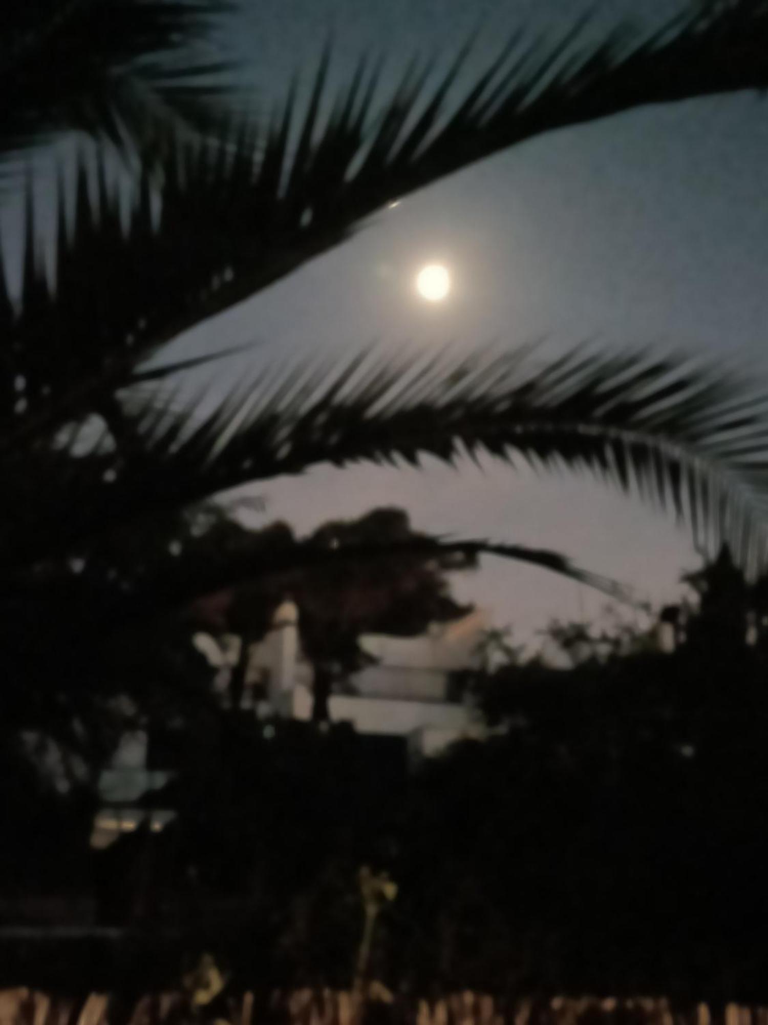 Apartmán Casa Lua Conil De La Frontera Exteriér fotografie